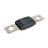 100A MEGA Fuse